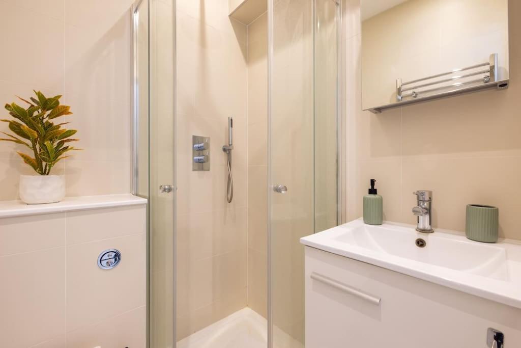 Wild Roses Serviced Apartments - Borough London Kültér fotó